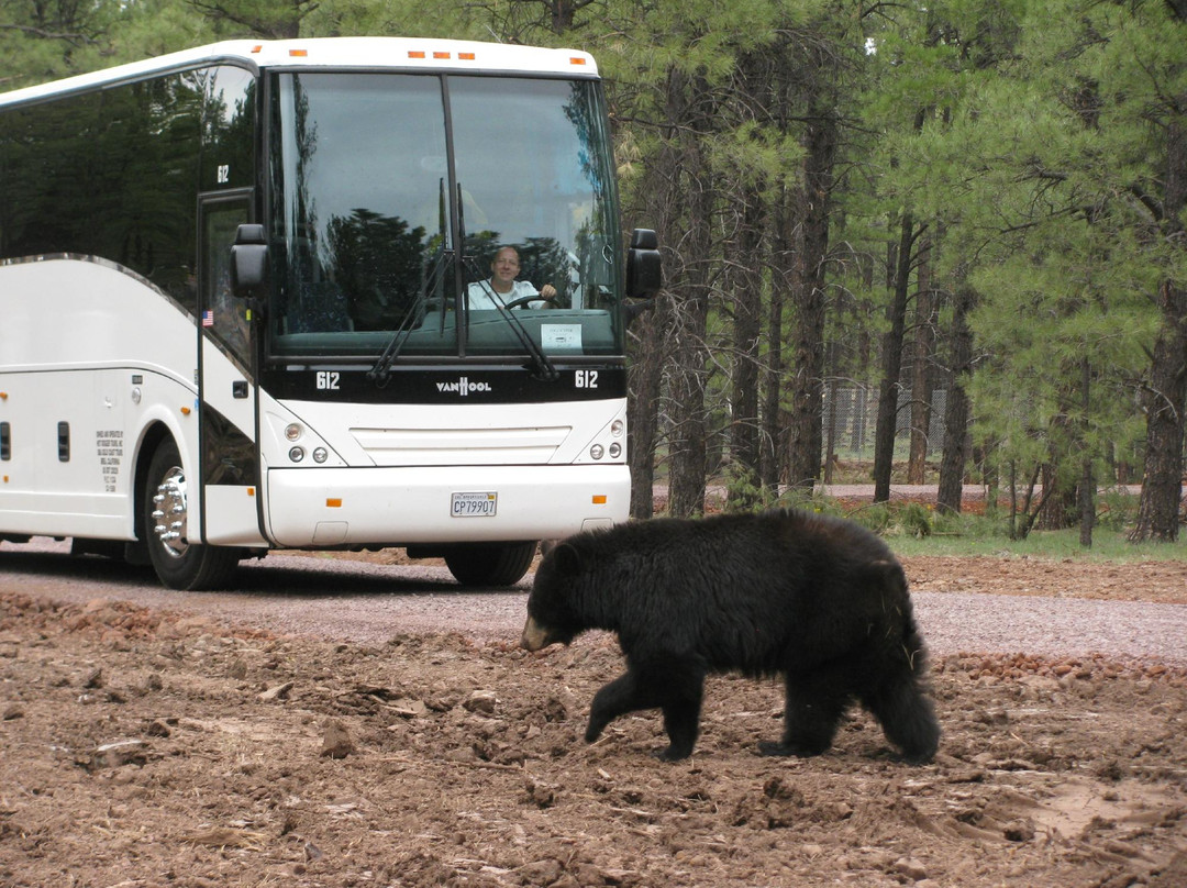 Arizona Grand Canyon Tours - Day Tour景点图片