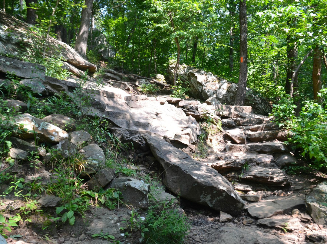 Cedar Falls Trail景点图片