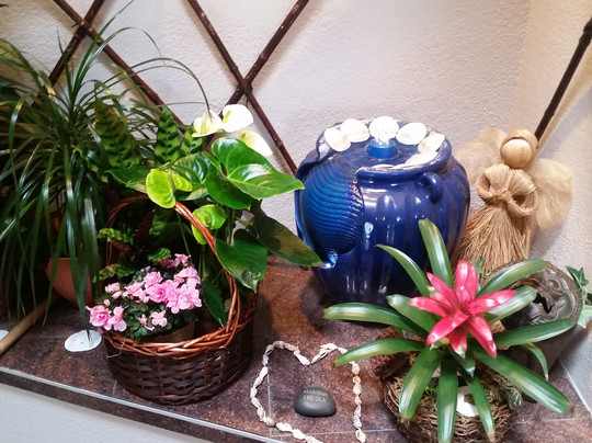 Cedar Ridge旅游景点-Aloha Healing Touch Massage