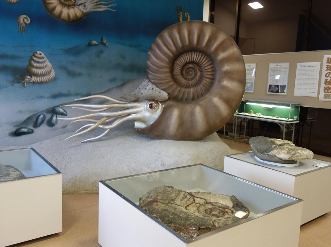 Iwaki City Ammonite Center景点图片