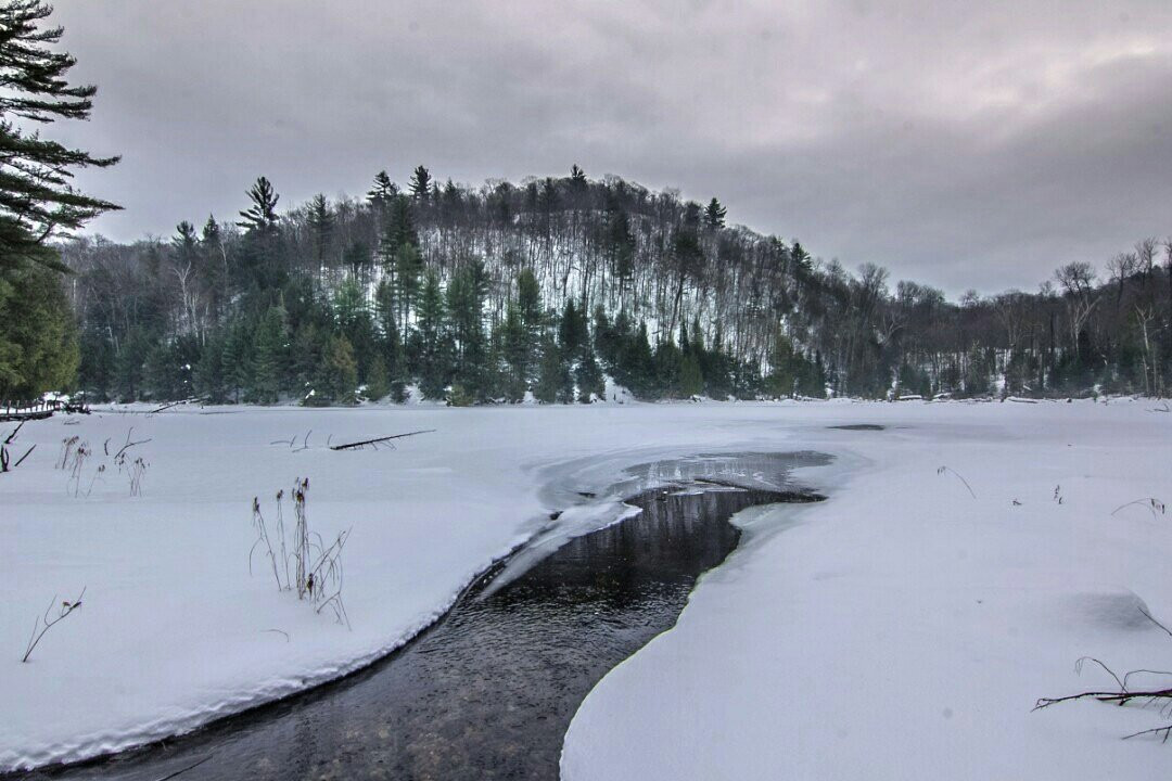 Mayo旅游攻略图片