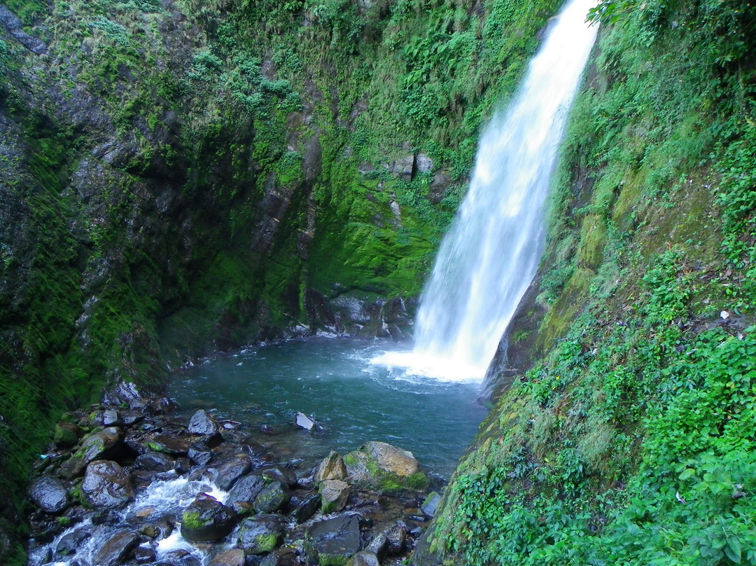 Neora Valley National Park景点图片