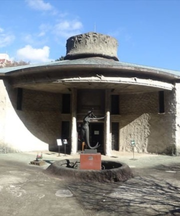 Seiko Sawada Memorial Museum景点门票图片