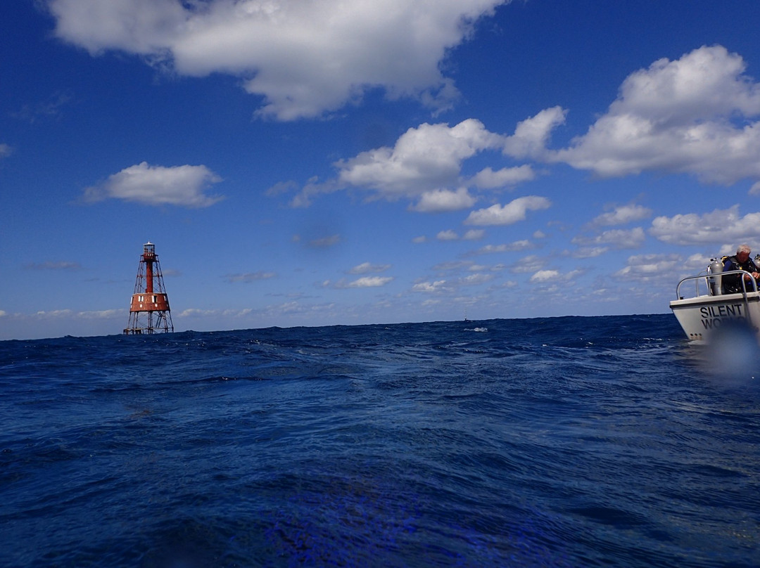 Carysfort Reef Lighthouse reef景点图片