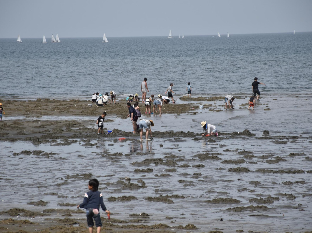 Gotemba Beach-津市必去景点