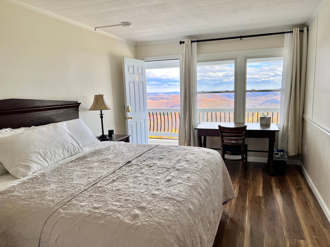 Blue Vista Motor Lodge主图