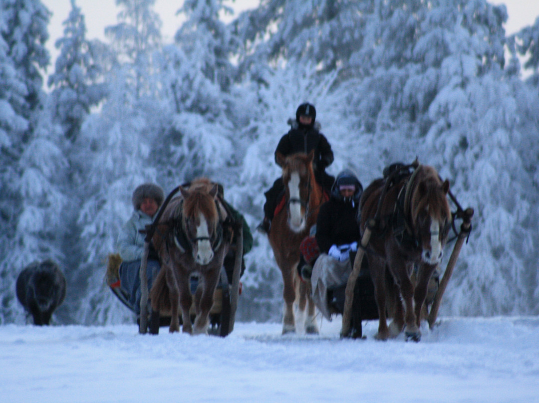 Ruska Laukka-库萨莫必去景点