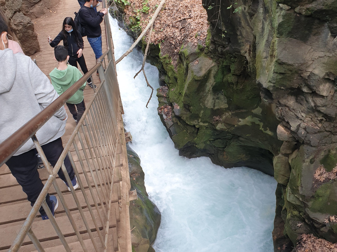 Hermon Stream Nature Reserve-Merom Golan必去景点