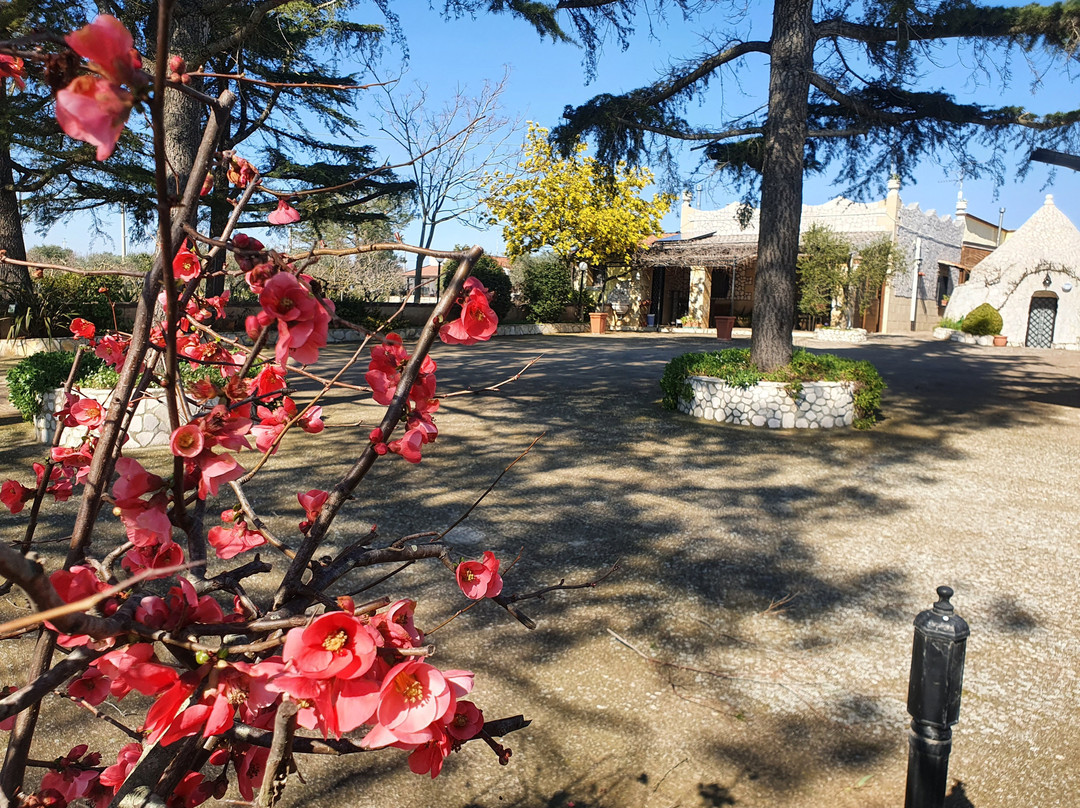 Gioia del Colle酒店住宿-B&B Mandorla Amara