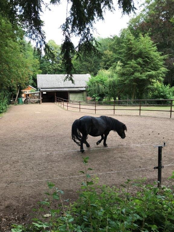 Tiergehege im Sahn Park-Crimmitschau必去景点