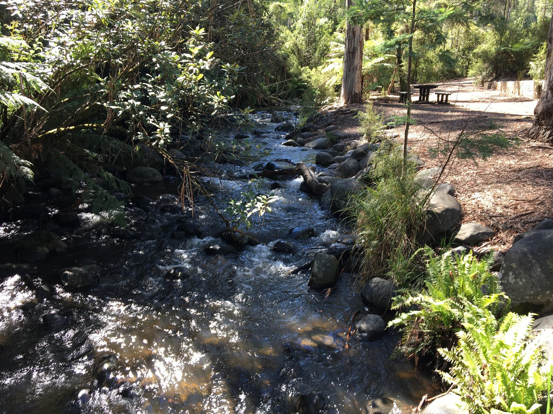 Badger Weir Picnic Area景点图片