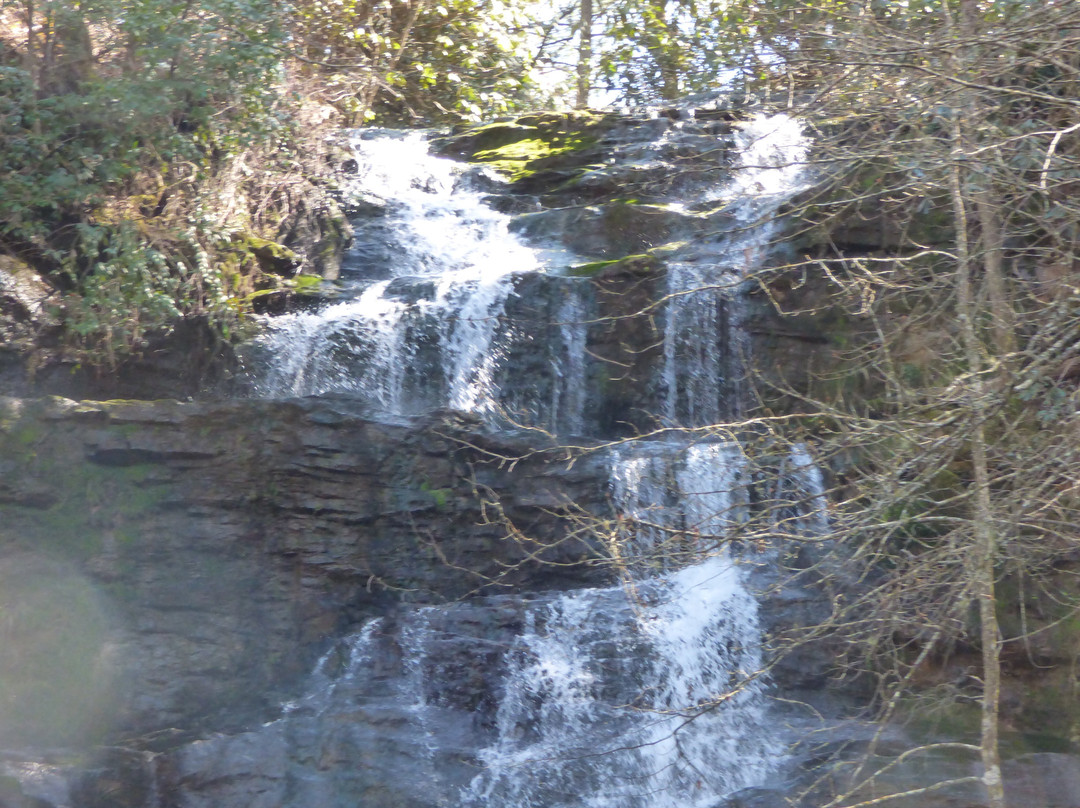 Reedy Branch Falls景点图片
