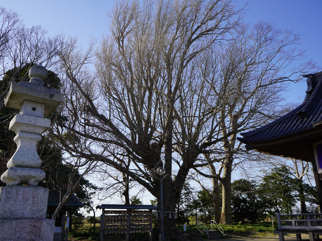 Shirako Shrine-白子町必去景点