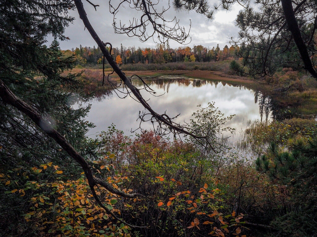Van Riper State Park-Champion必去景点