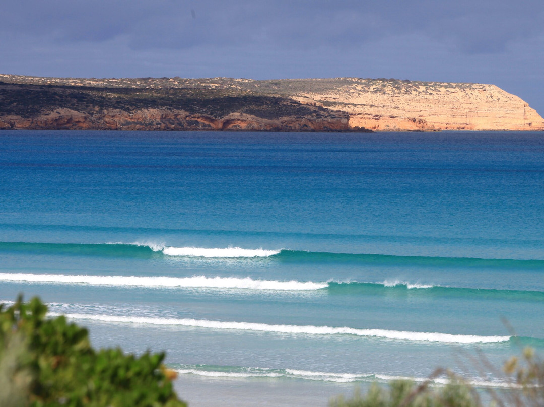 Streaky Bay Surf School-Streaky Bay必去景点