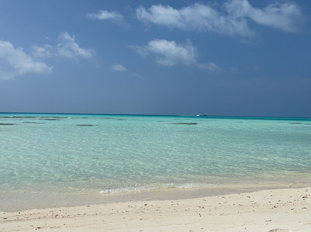 Dhiffushi Dive and Recreation-Dhiffushi Island必去景点