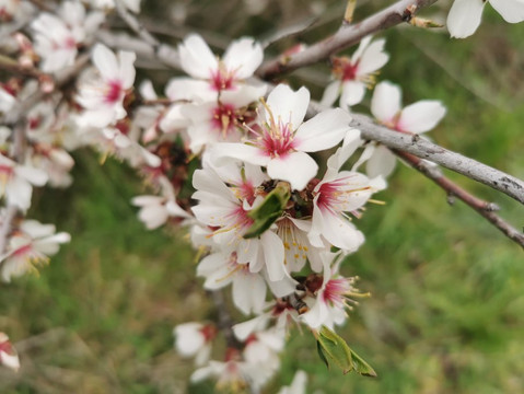 Calzada Romana-Galapagar必去景点