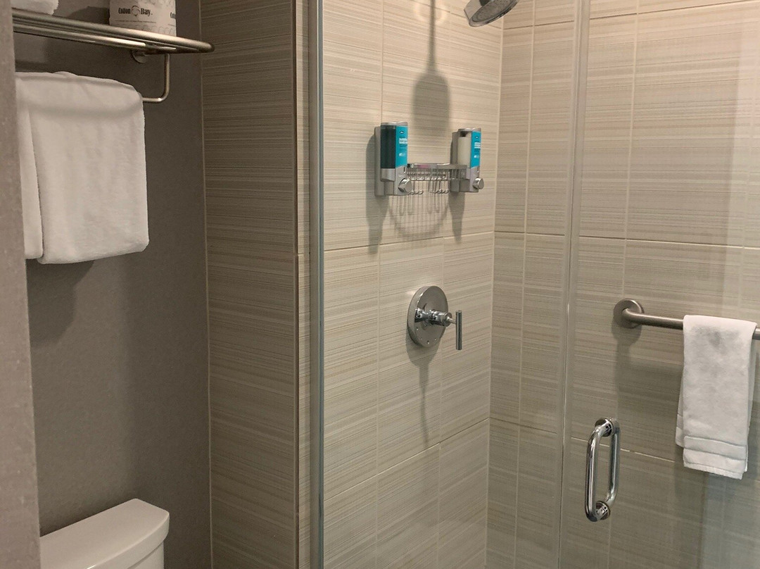 芝加哥奥黑尔雅乐轩酒店主图