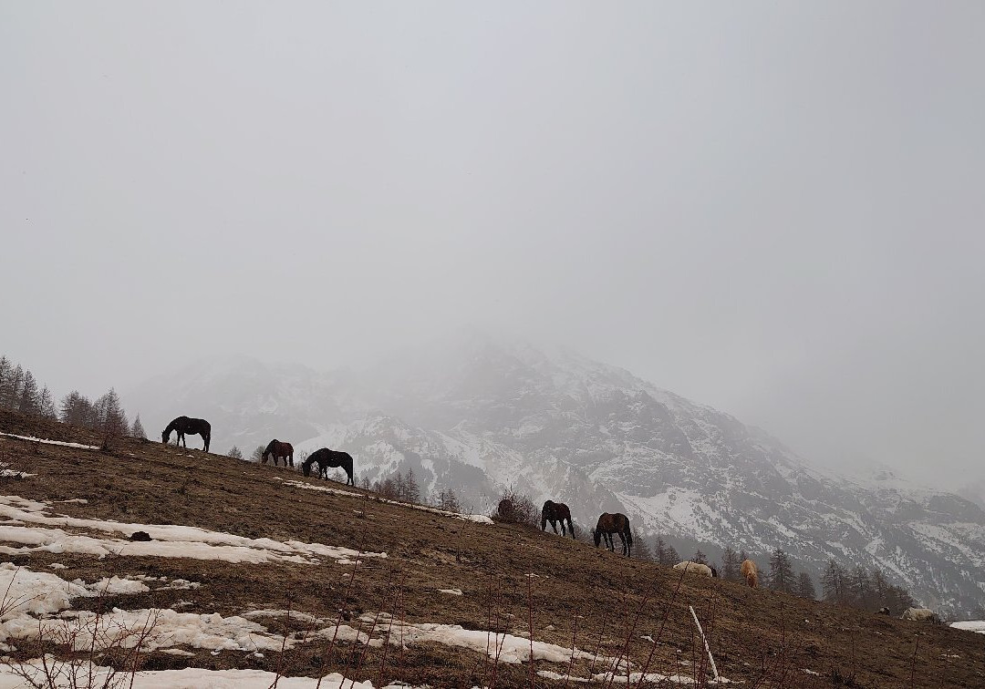 Passeggiata Alle Antiche Borgate-Cesana Torinese必去景点