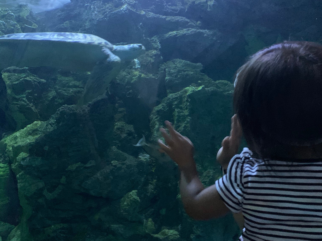 海底世界-杜梦湾必去景点