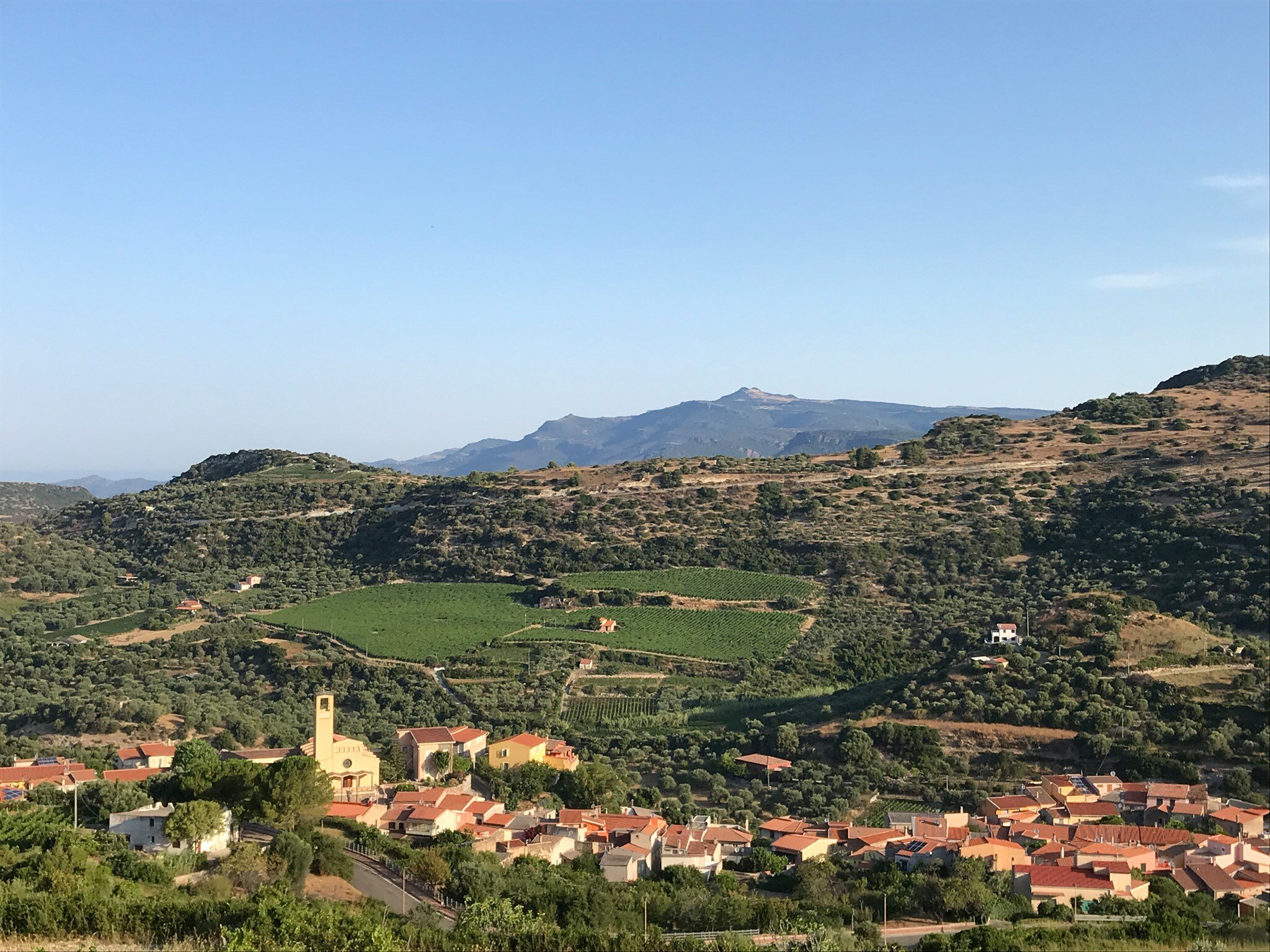 Il Giardino Degli Aranci-官方