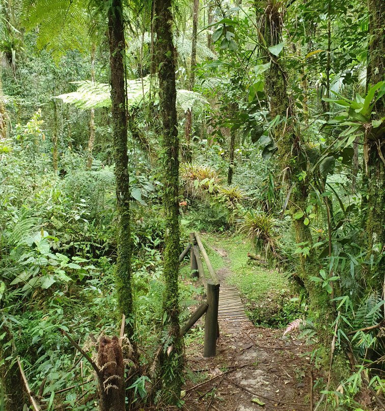 Parque Estadual da Serra do Mar-Cunha必去景点