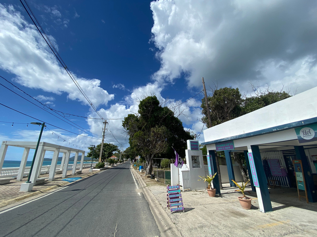 Vieques Gifts景点图片