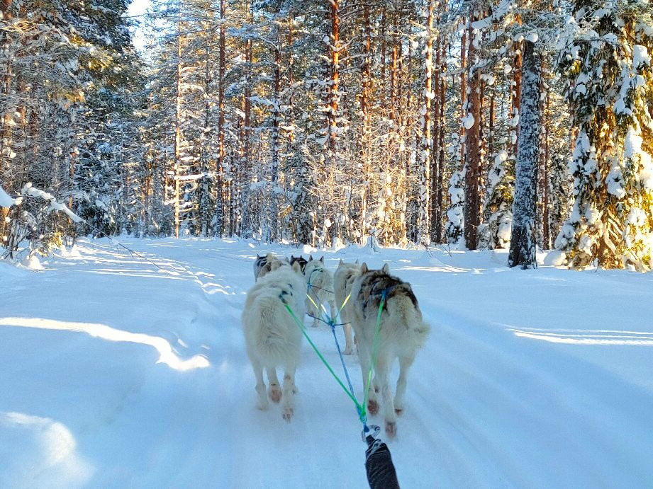 Svansele Wilderness Centre-Svansele必去景点
