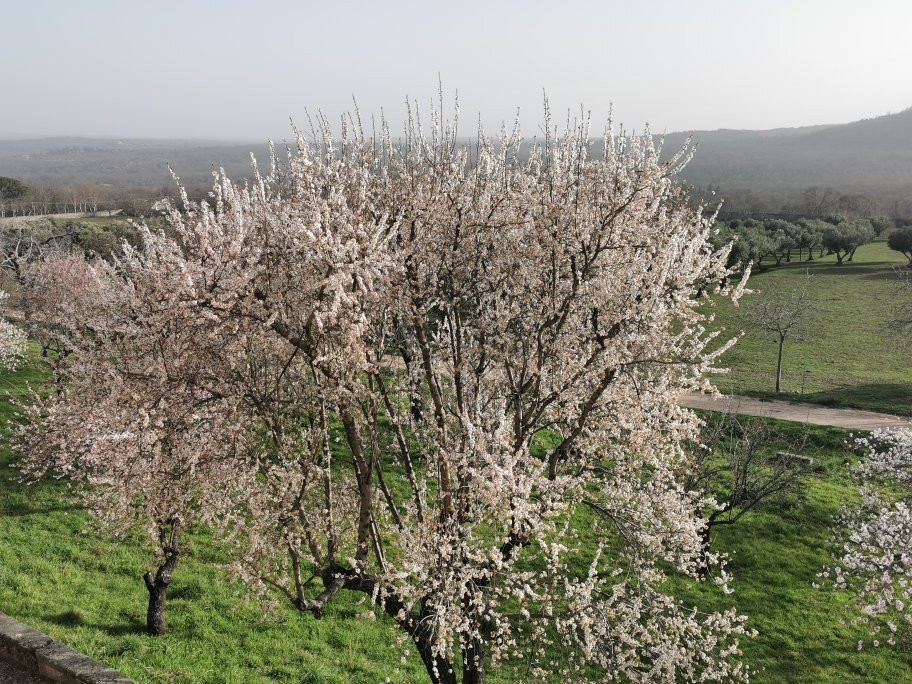 Jardín de los Frailes景点图片