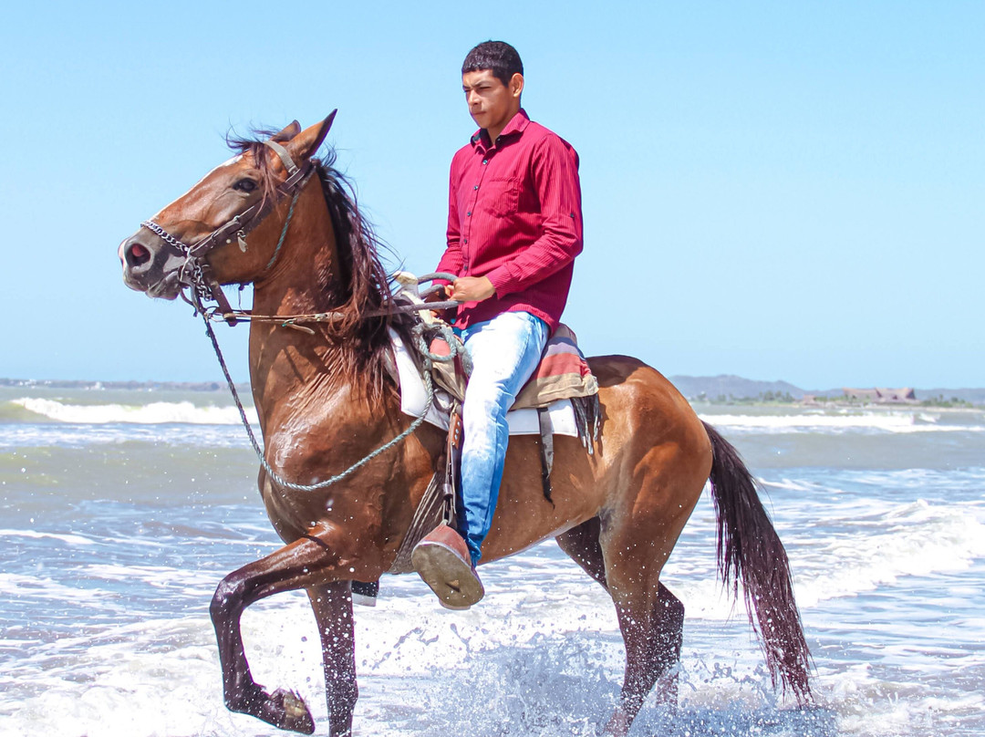 Tour en caballo por la playa景点图片
