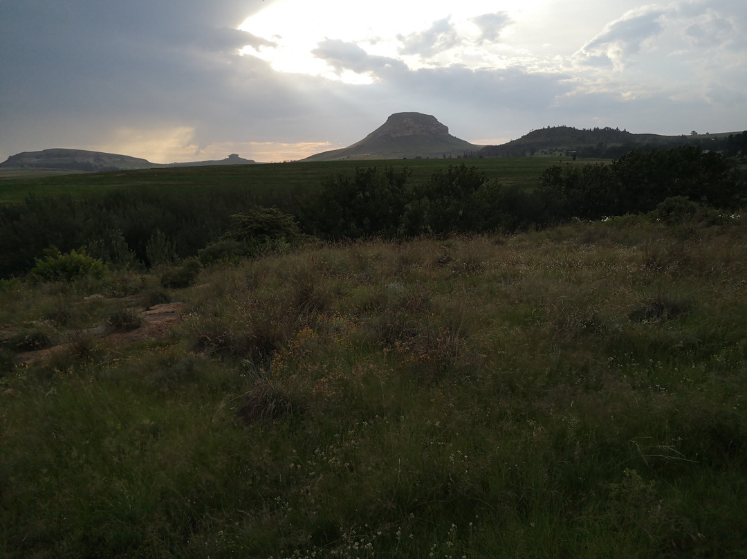 Ventersberg Stables-Fouriesburg必去景点