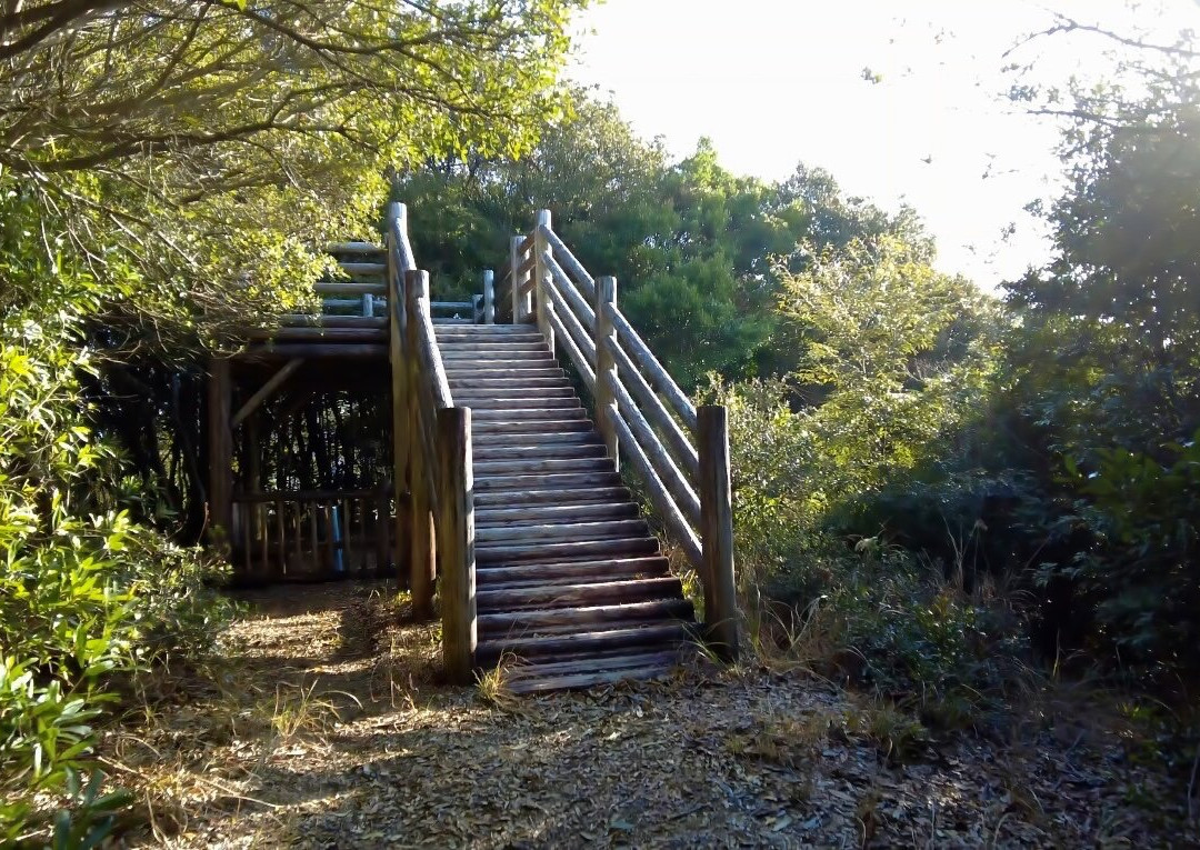 Otsuki Ecology Camping Ground主图