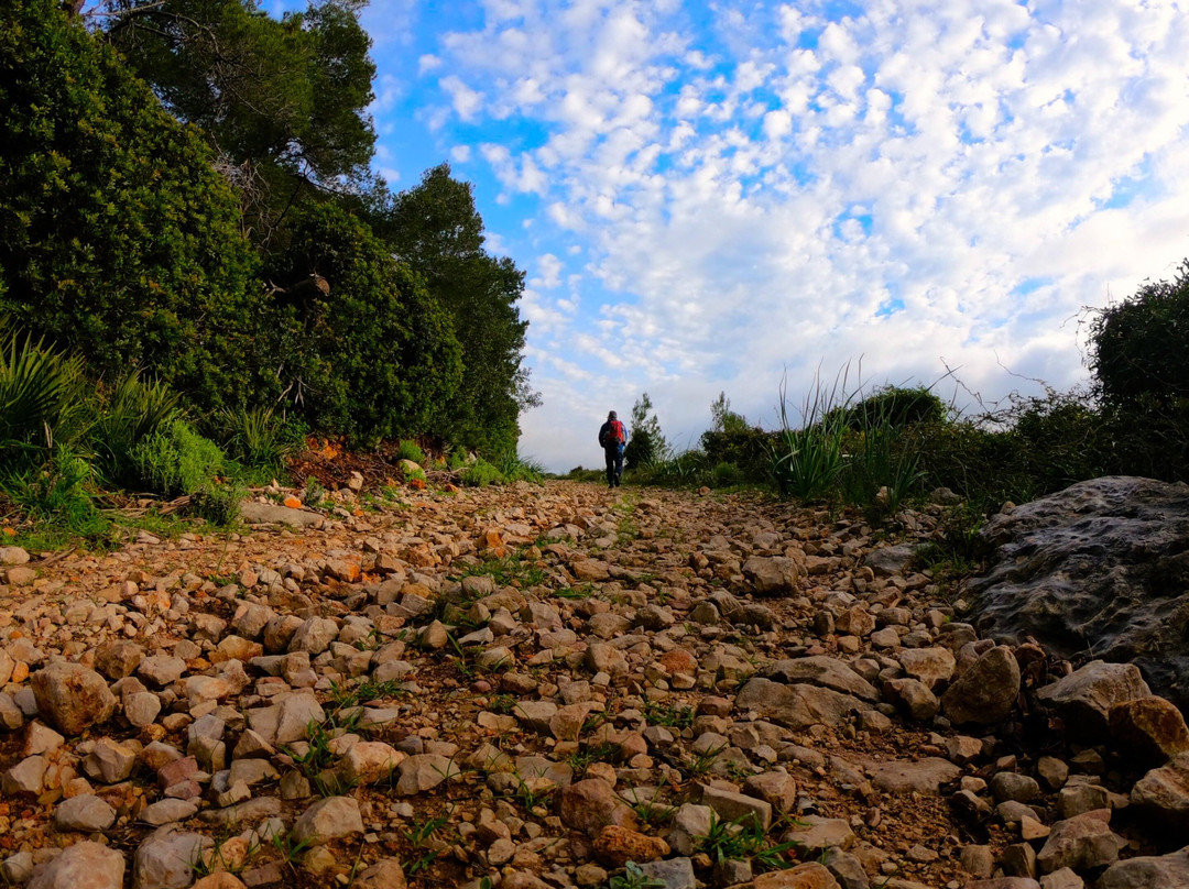 TrekZone di Pietro Fiori-阿尔盖罗必去景点