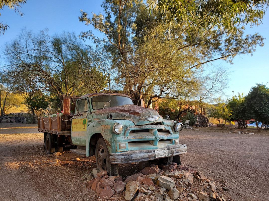 Aravaipa Farms Orchard and Inn主图