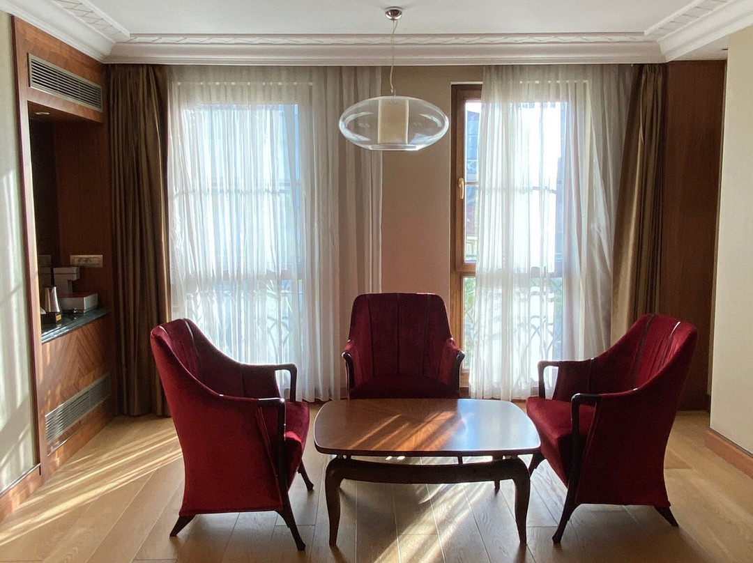 Warwick Ankara主图