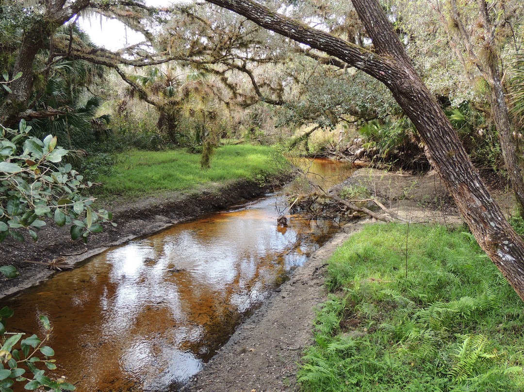 Myakkahatchee Creek Environmental Park景点图片