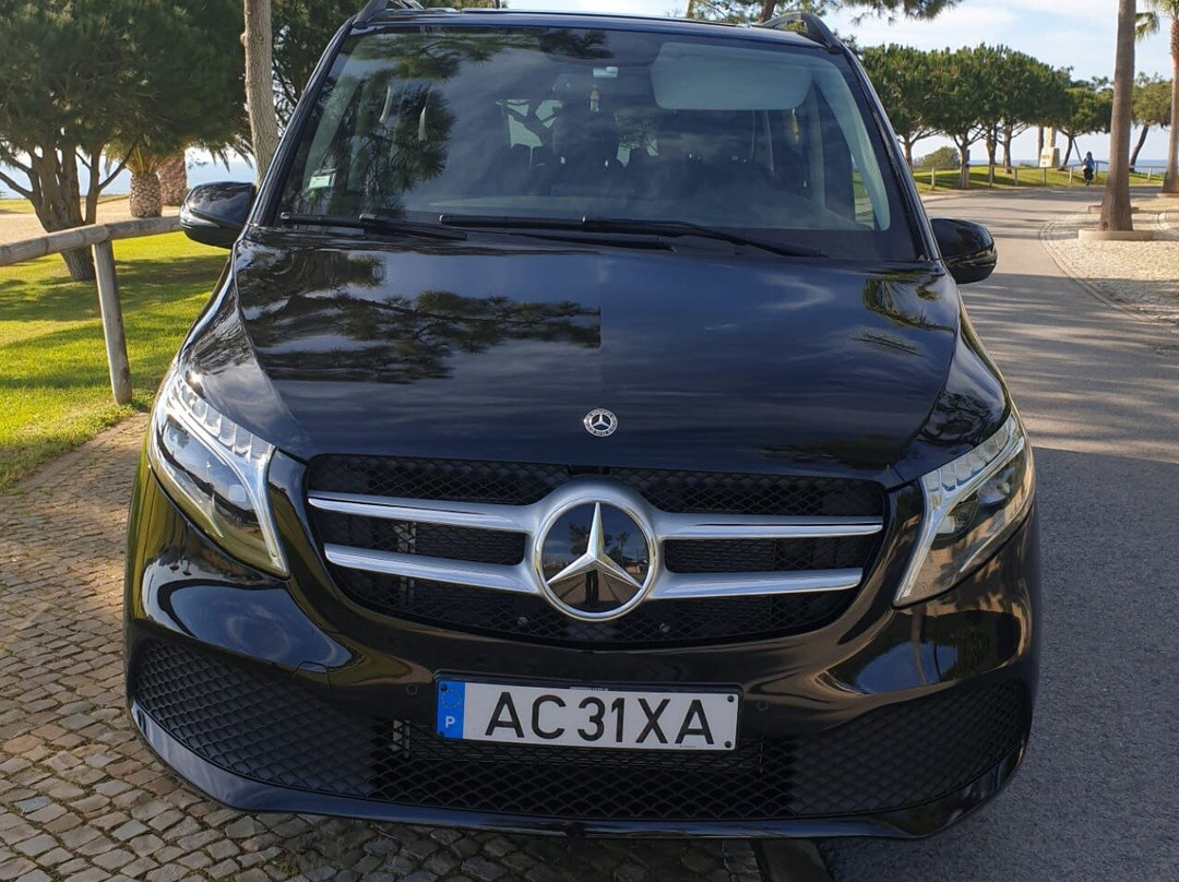 SeagullCircuit-法罗必去景点