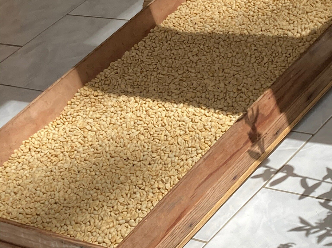 La Vanilleraie de Fety-Pointe-Noire必去景点