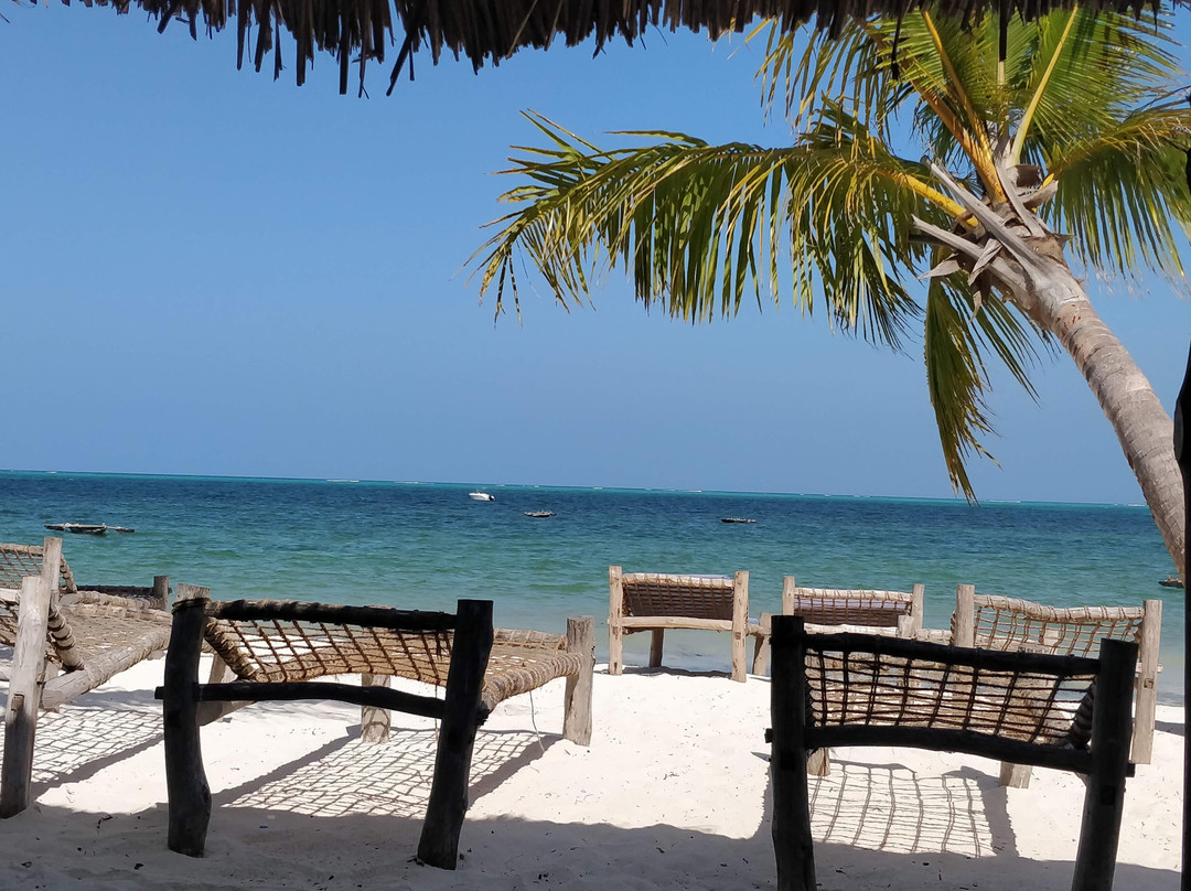 Blu Marlin Village主图