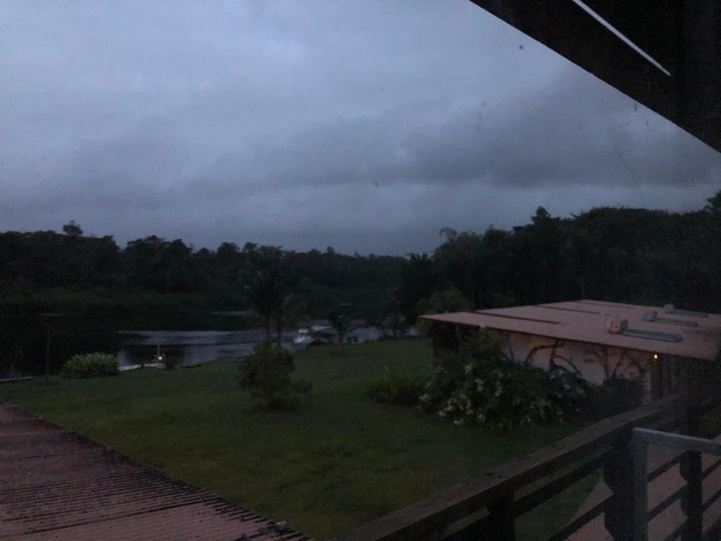 L'oiseau de Paradis主图