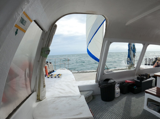 Reef Daytripper-凯恩斯必去景点