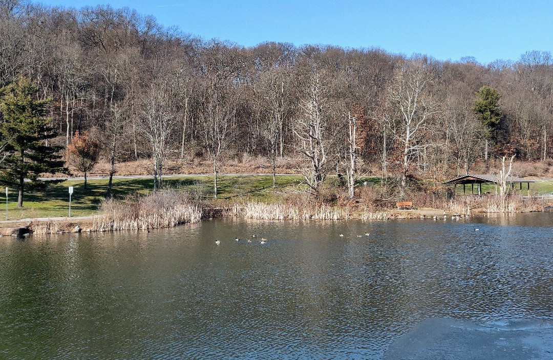 Deer Lakes Park景点图片