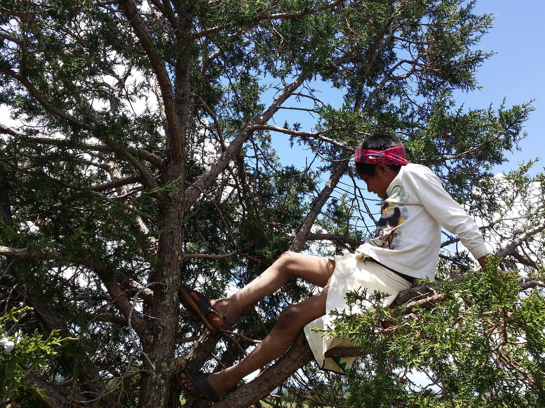 Sierra Tarahumara-科波坎农必去景点