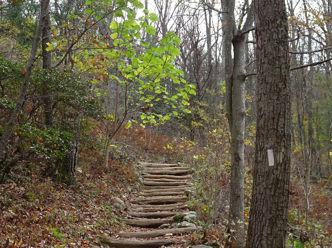 Mary's Rock Summit Trail景点图片