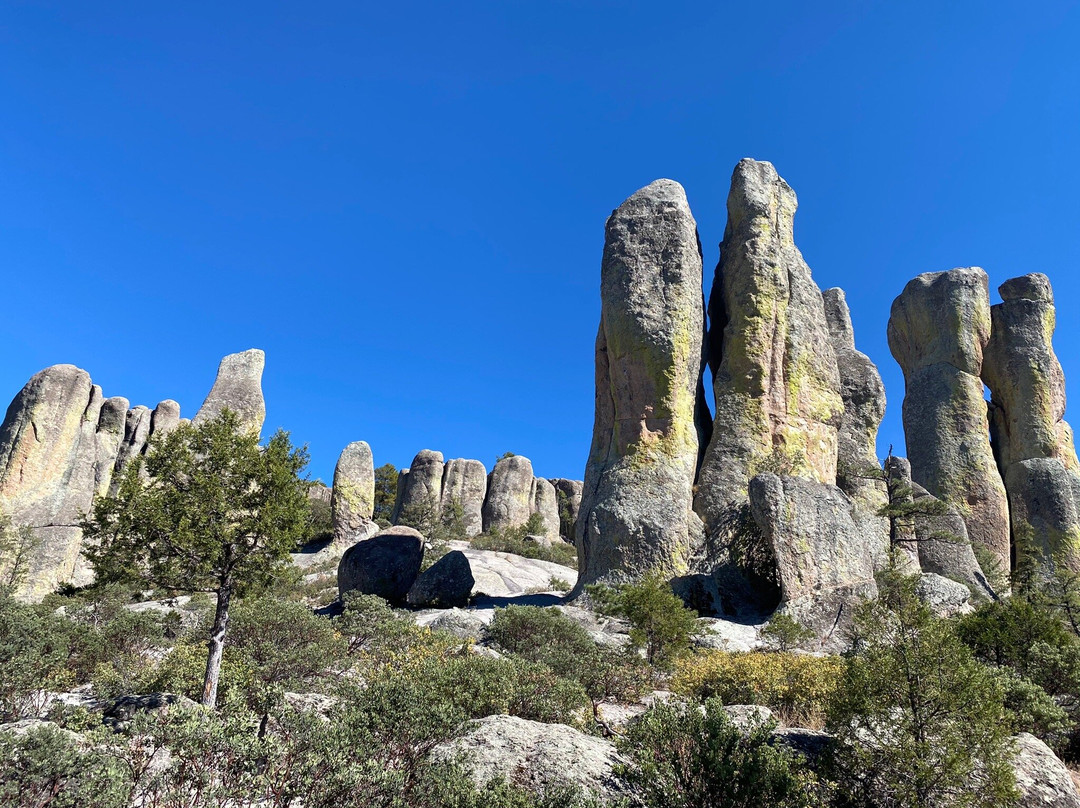 San Ignacio Arareko景点图片