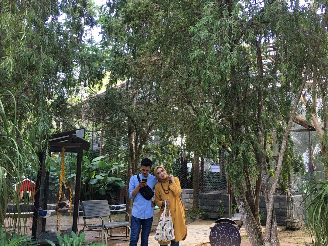 Rumah Ulin Arya景点图片
