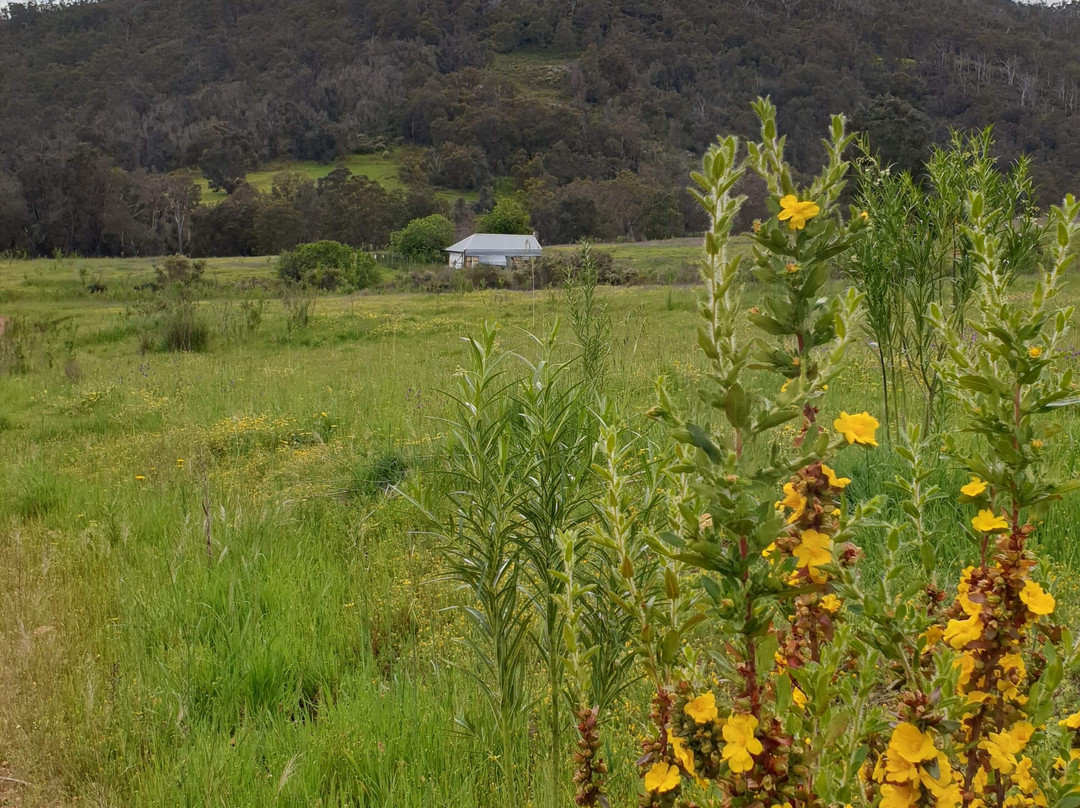 Kitty's Gorge Walk-Jarrahdale必去景点