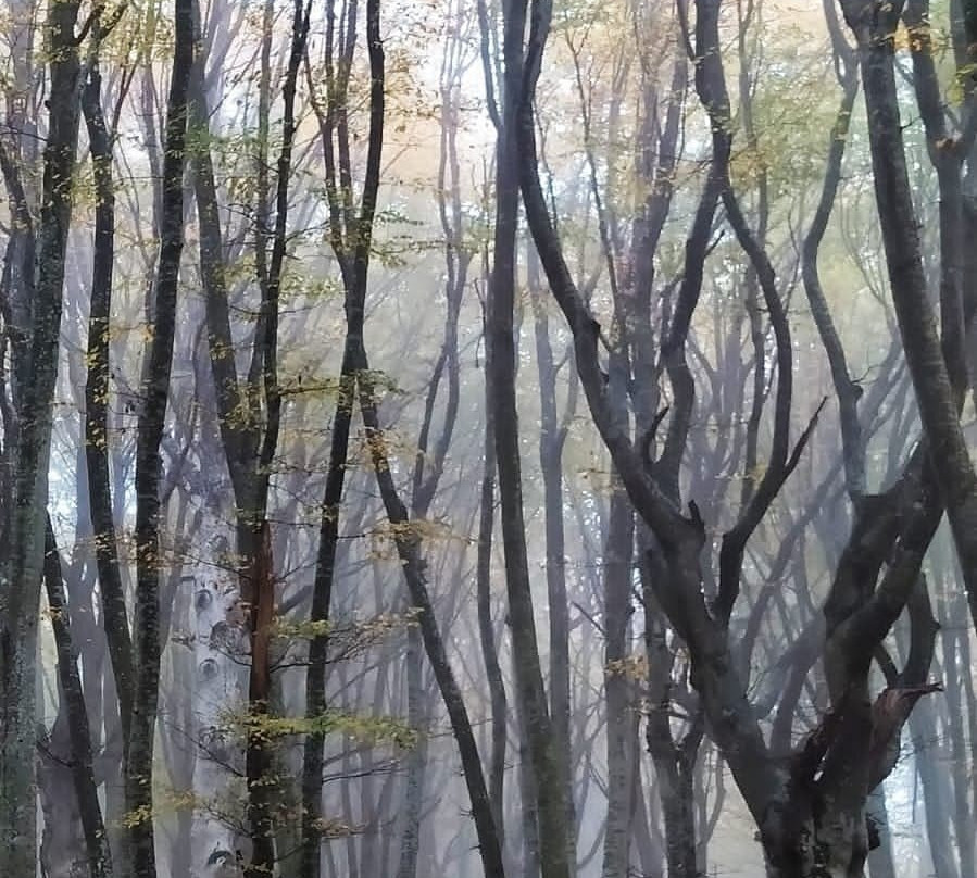 Piani di Canfaito景点图片
