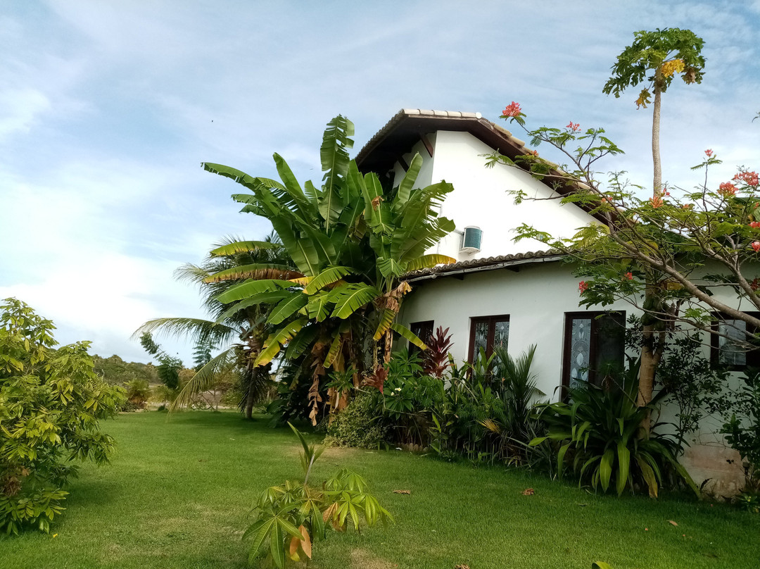 Moncalmterapia主图