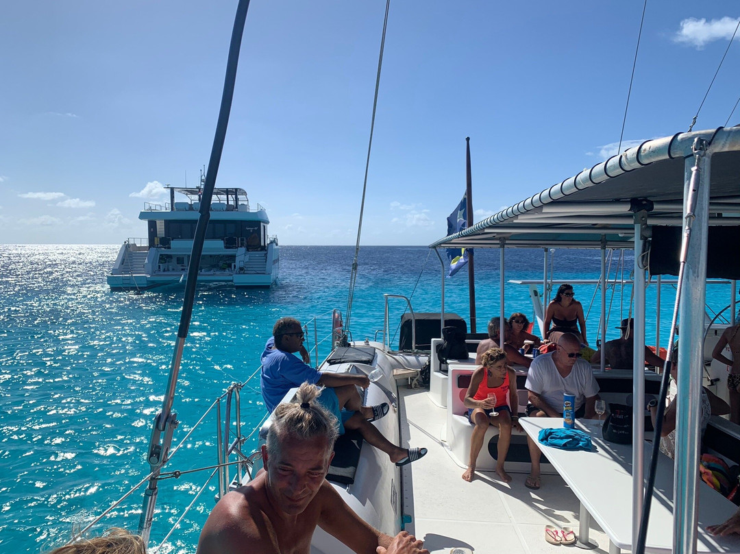 BlueFinn Charters-威廉斯塔德必去景点